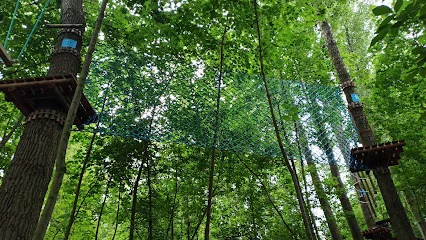Park Stawiki