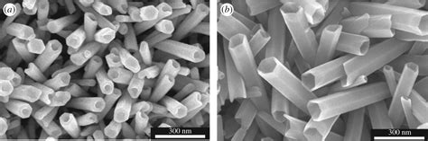 ¿Zinc Oxide Nanorods: El material del futuro para la electrónica flexible?