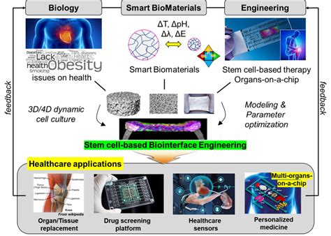  ¿Qué es la Quimoproteína y cómo revoluciona el diseño de biomateriales?